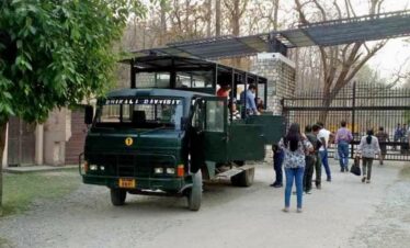 Dhikala Canter Safari